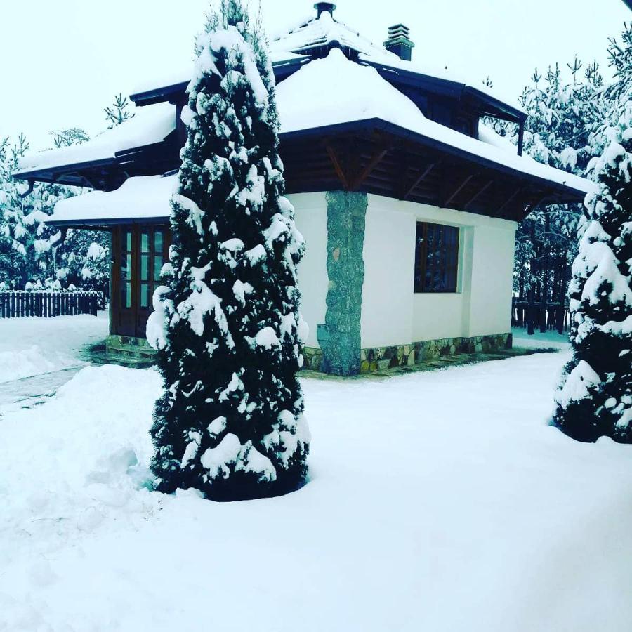 Vila Panic Zlatibor Exterior photo